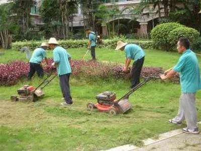 園林綠化工程施工 構筑城市生態之美