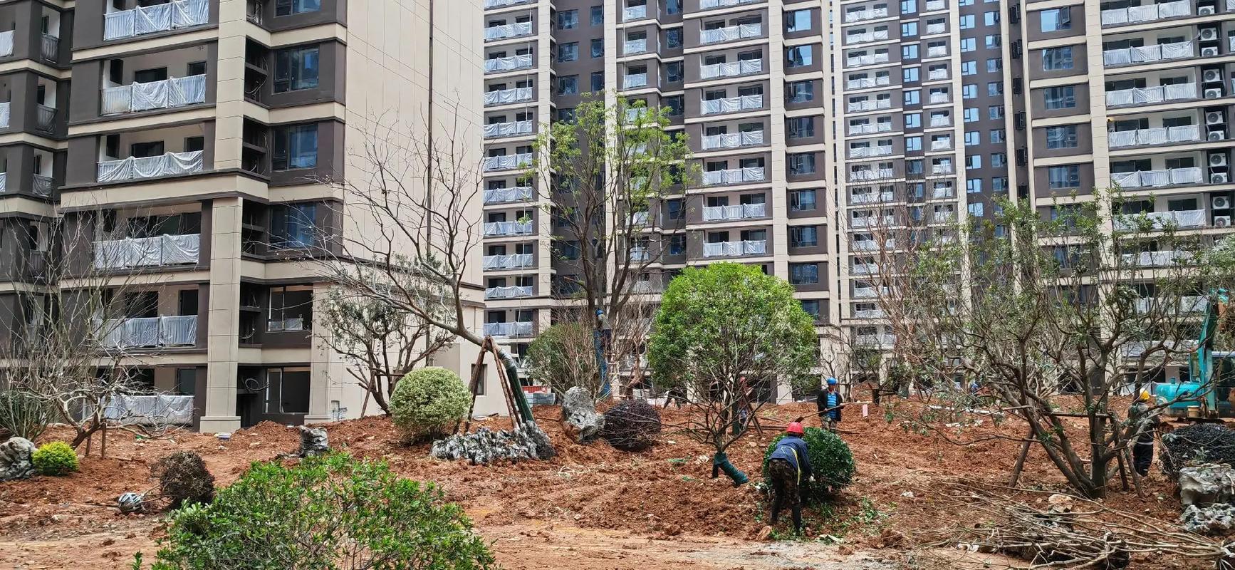 香樟一立，綠意盎然——記小區園林綠化工程施工現場