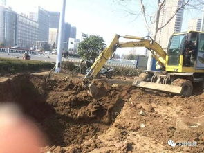 取消園林綠化施工資質后，如何加強園林企業資質管理