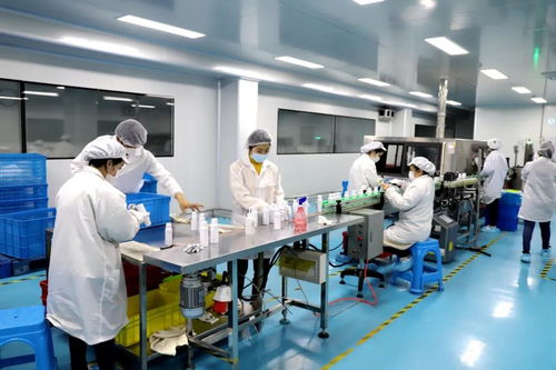高效服務暖企心 嘉定區20天辦結資質變更，企業轉產捐贈萬件消毒物資回饋社會